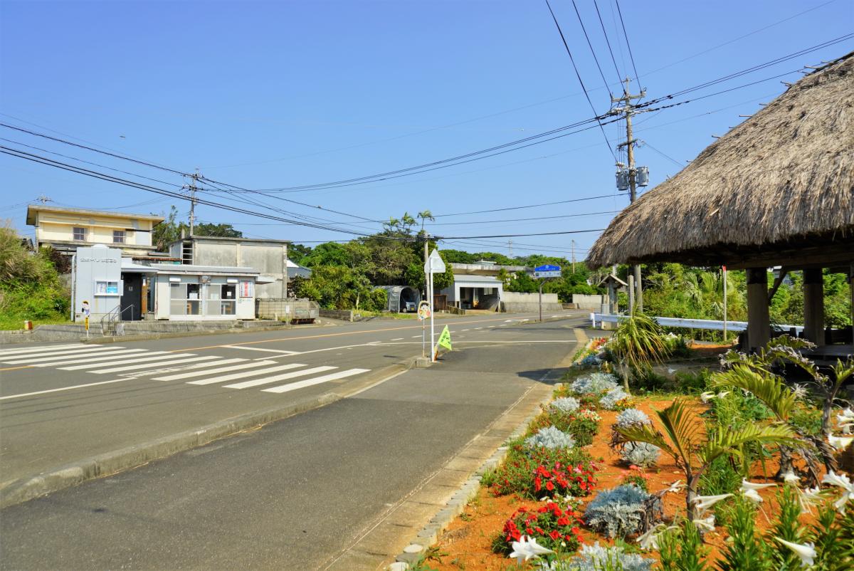 横断歩道がある舗装道路の脇に赤や白の花々が植えられた美しい花壇が続き、右手には大きな茅葺き屋根の東屋、左手奥には民家の建物が並ぶ住吉小学校区の風景写真
