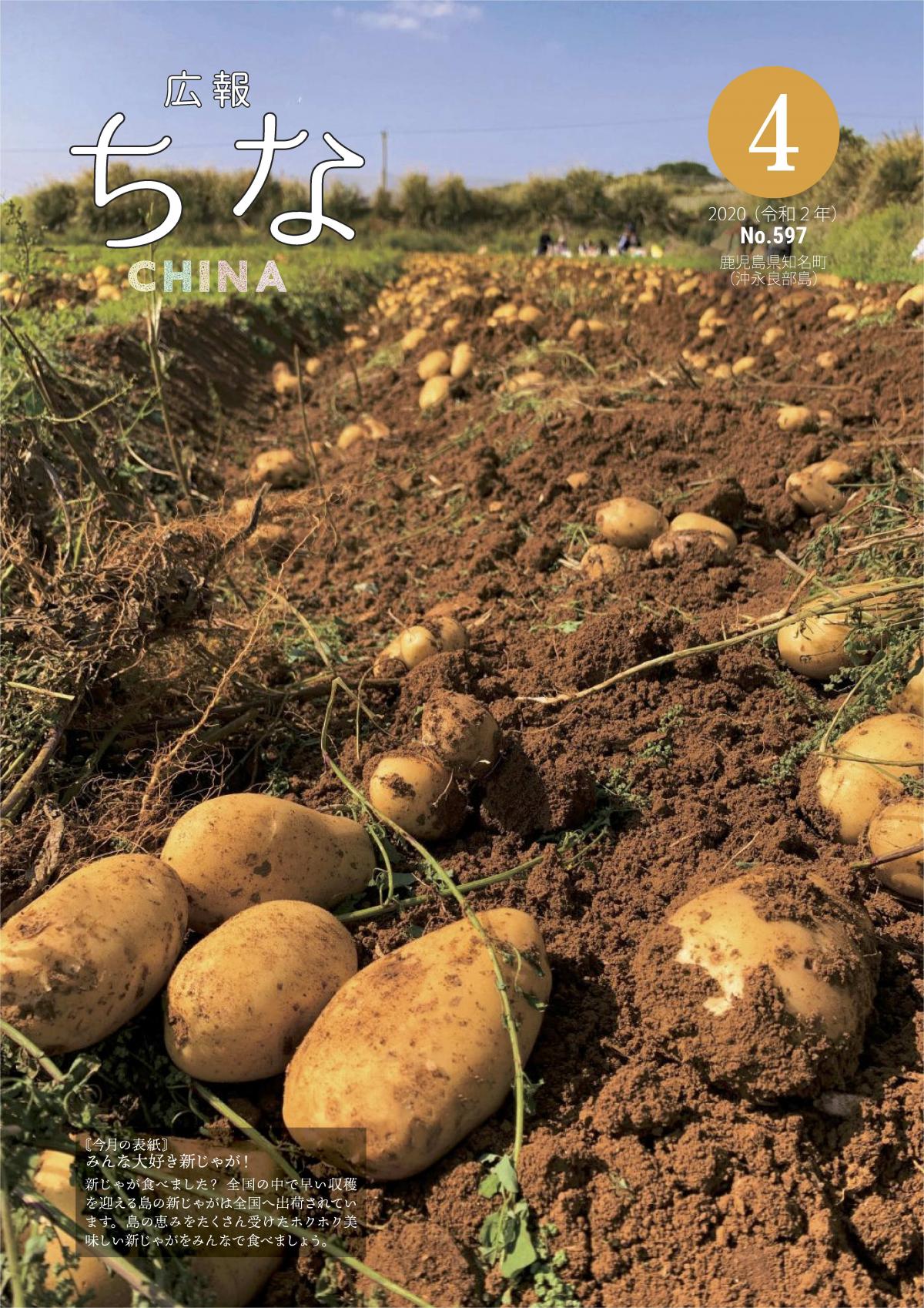 広報ちな2020年4月号の表紙