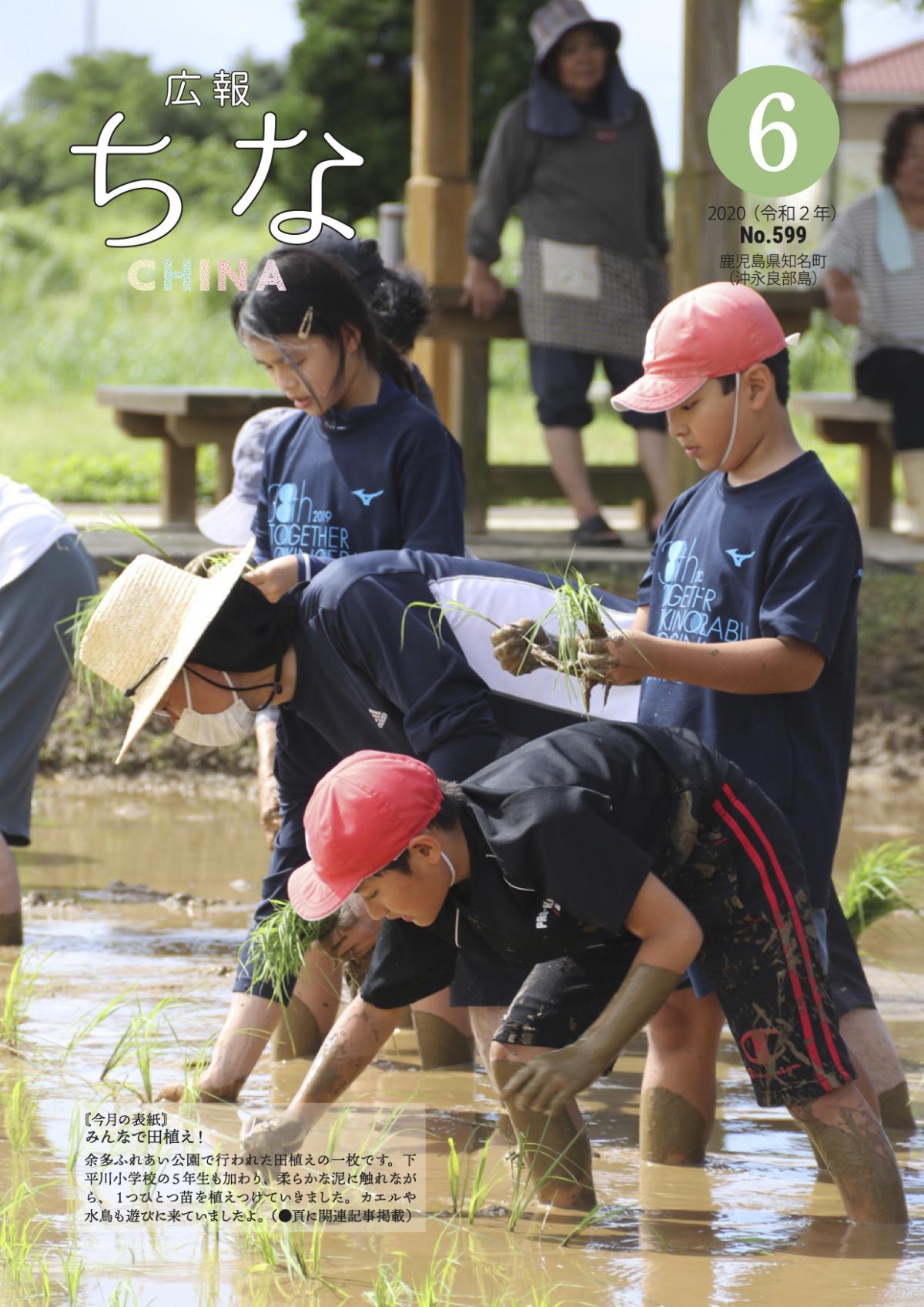 広報ちな2020年6月号の表紙