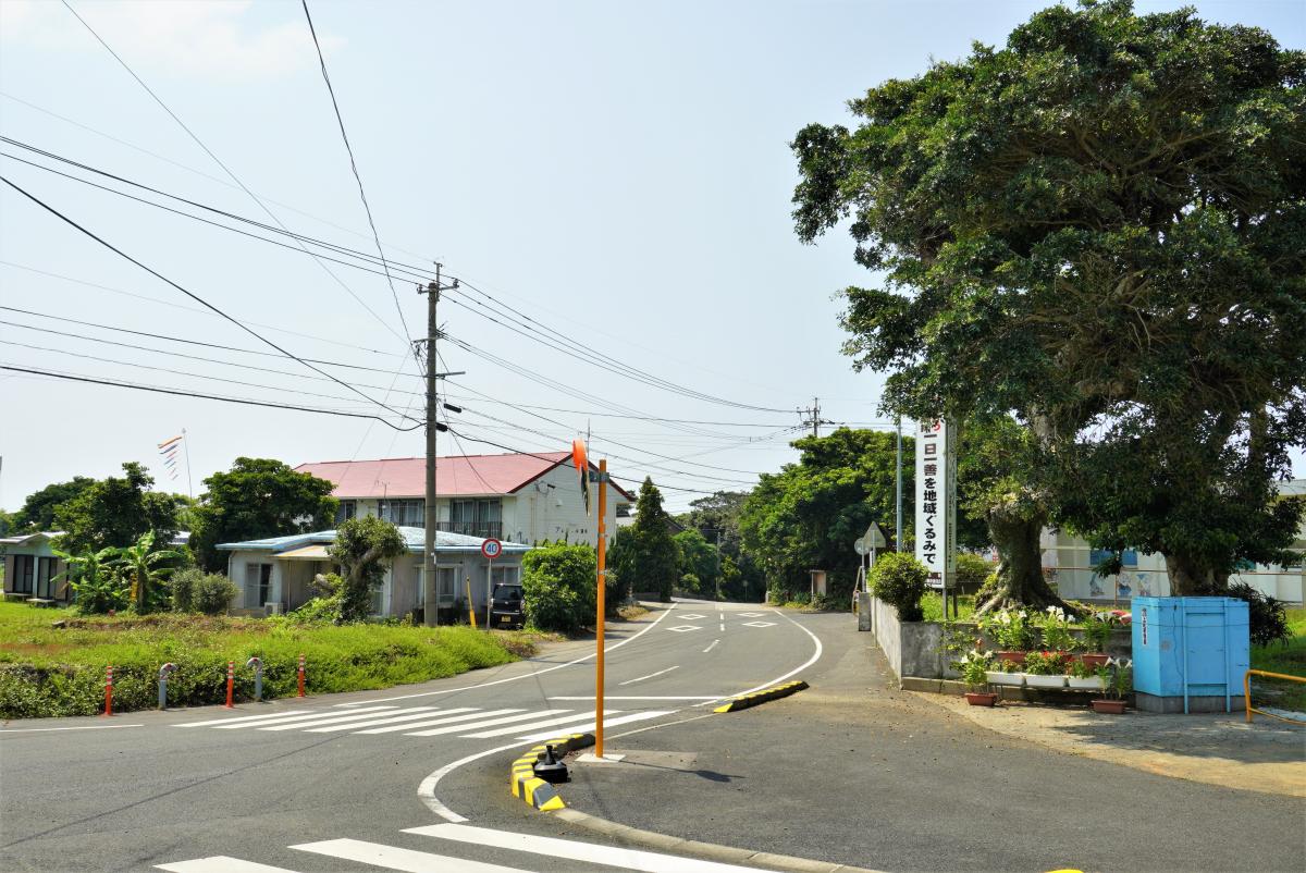 緩やかにカーブするアスファルトの道路に沿って、赤い屋根の民家や幹が太く枝を大きく広げた一本の大きな木、標語が書かれた看板や青い物置などが点在する、緑豊かで静かな上城小学校区の周辺の様子を捉えた写真