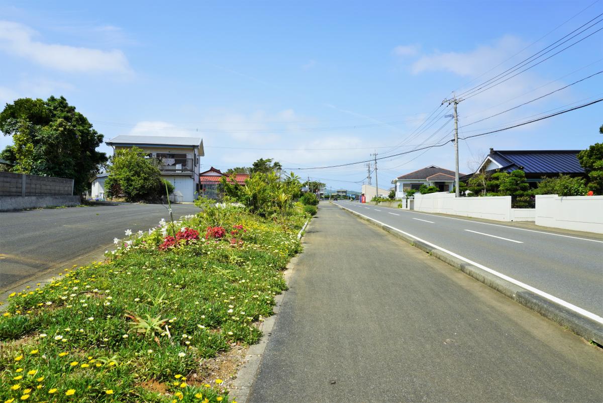 住宅街の中をまっすぐに伸びるアスファルト舗装の道路脇には、色とりどりの花々が咲く長い花壇が続き、遠くには家々の屋根が見える風景を捉えた写真