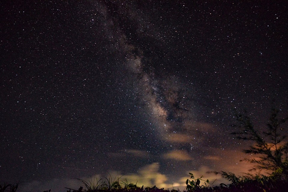 夜空の中心を無数の星の集まりである天の川が斜めに縦断し、手前には植物のシルエットと雲が混じる、夜間の天体写真