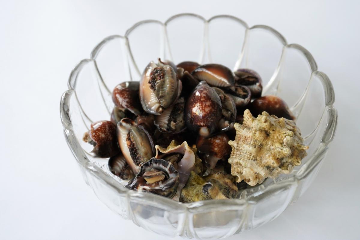 茶色と黒の模様を持つ巻き貝が多数、透明なガラス製の器に盛られ、中央にトゲのある貝殻が混ざっている写真