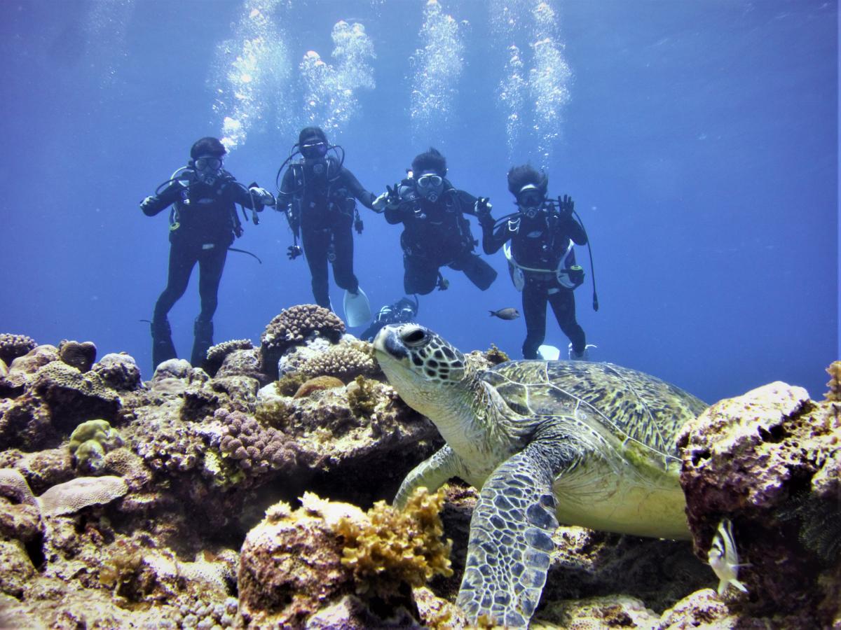 青い海の中で、4人のダイバーがサンゴ礁の上にいる大きなアオウミガメの背後に浮遊し記念撮影をしている写真