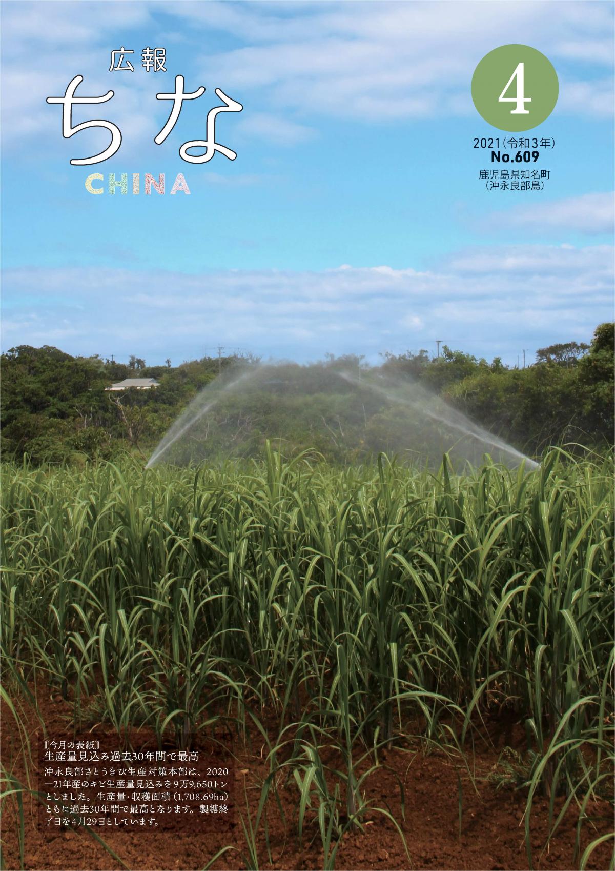 広報ちな2021年4月号の表紙