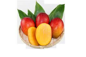 赤色の皮に赤く色づいたマンゴー三つと、皮が剥かれ縦にスライスされた明るい黄色のマンゴーの切り身二つが、笹の葉のような緑の葉と共に、編み目の粗い竹かごに盛られた写真