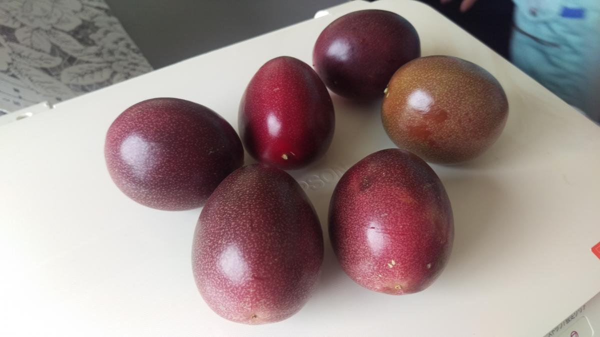 濃い赤紫色のつやつやした表面の六つのパッションフルーツが、白い台の上に並べられている写真