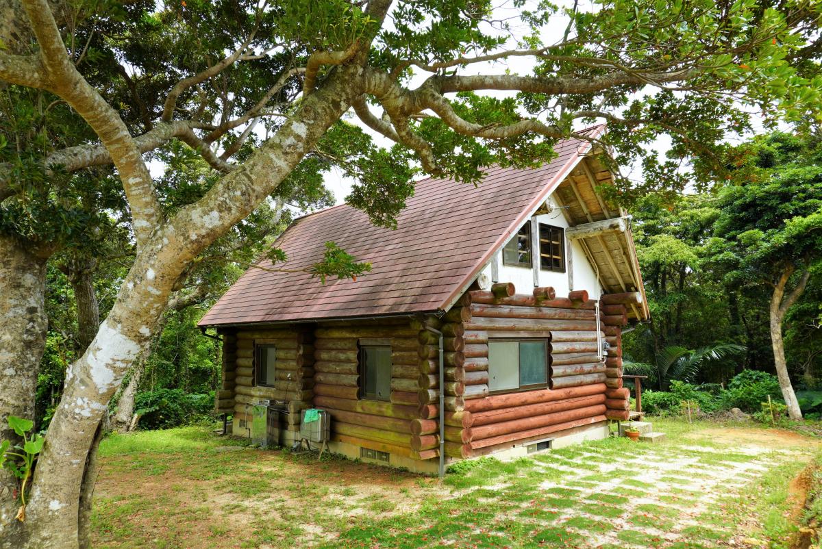 緑豊かな森の中に建てられた、赤茶色の屋根と丸太組みの壁が特徴的なログハウス風の大山野営場（バンガロー）の外観写真