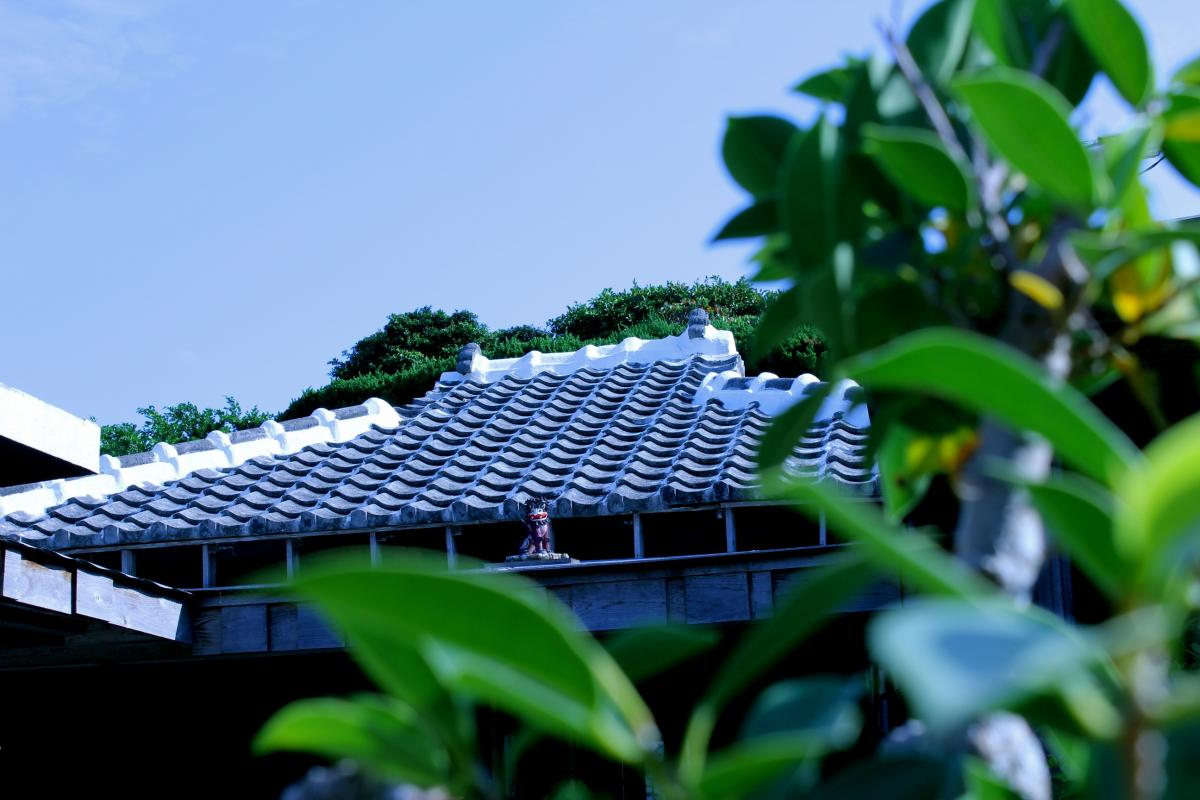 緑の葉の隙間から瓦屋根の建物が見え、屋根の棟飾りには、小さなシーサが見えているshimayado當の外観写真