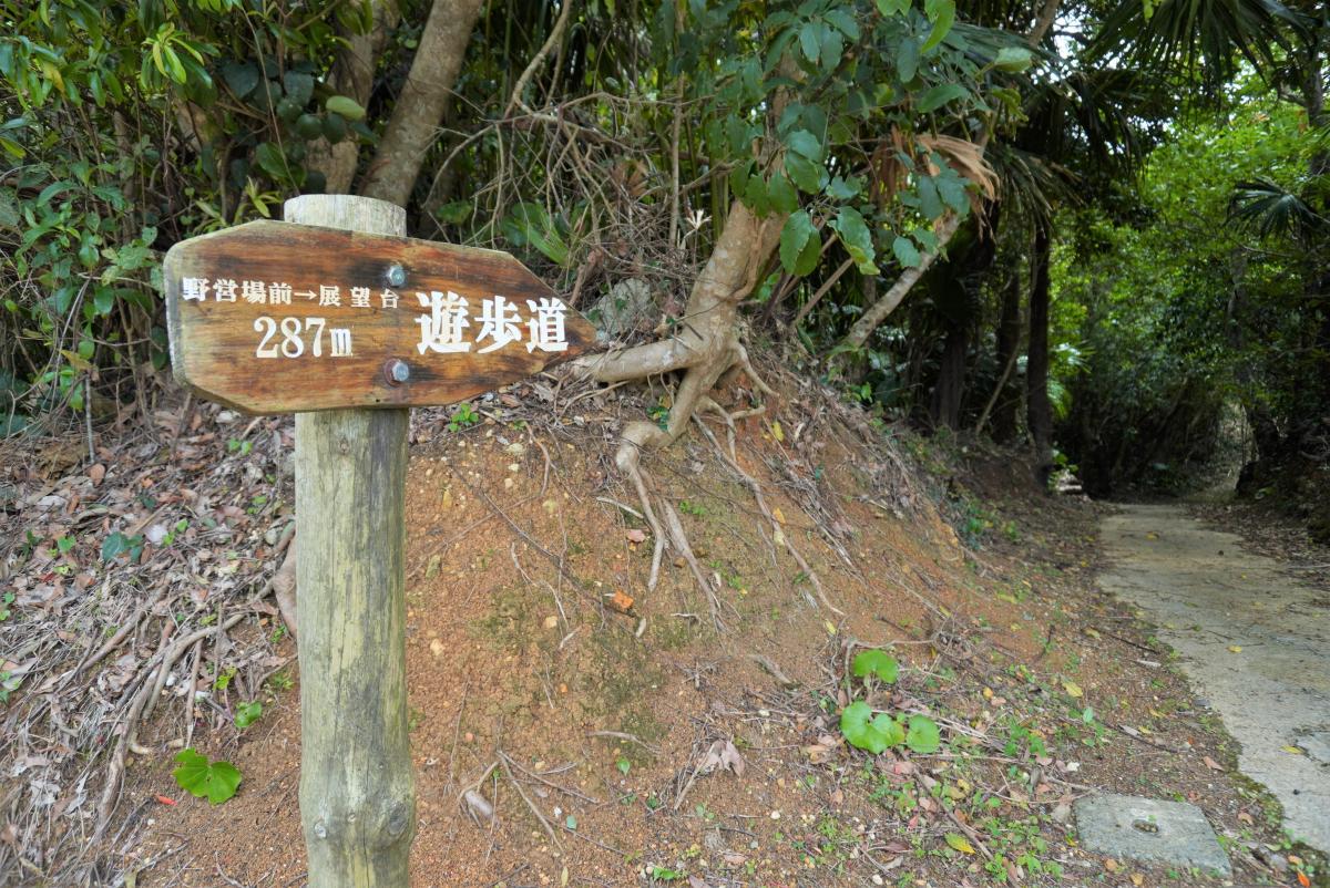 林道の脇にある木製の杭に固定された看板には「野営場前から展望台 287メートル」と「遊歩道」という文字が書かれており、右奥には遊歩道が続いている写真