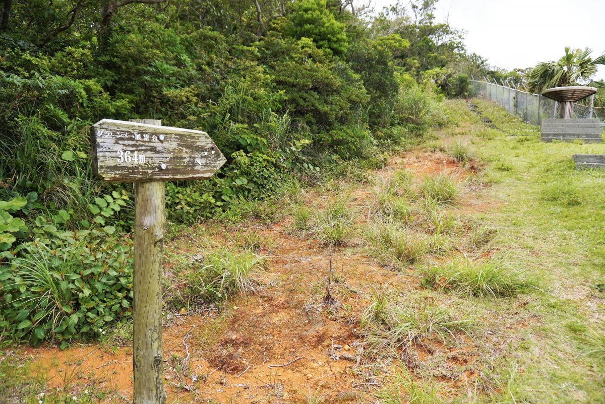 赤土がむき出しになった斜面の草地を進むと階段と金網のフェンスが見え、「遊歩道」の方向を示す木製の道標が立っている写真