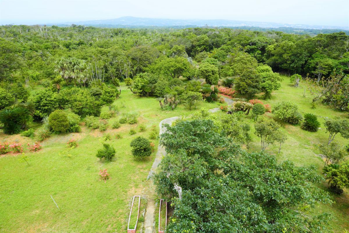 広大な緑の森と芝生が広がる風景を上空から捉えた写真で、中央には木々に囲まれた小道が緩やかにカーブしており、遠くの地平線には丘陵地帯がかすんで見え、手前には大きな木々や低木、赤やピンクの花が点在する写真