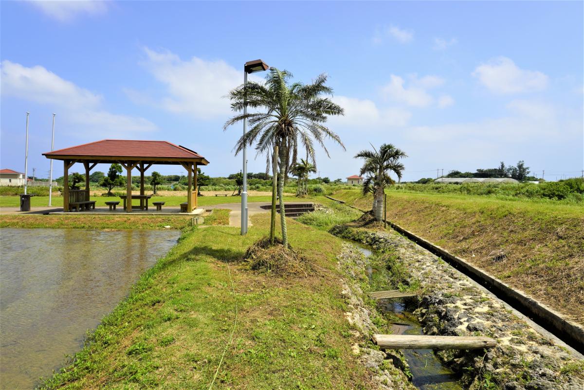 青空の下、広場の一部に、茶色い屋根のあづまやが建っており、手前には水田と、ヤシの木のような木が数本生えた土手があり、その奥にはコンクリートの細い水路と、緑の草地が広がる広場の写真