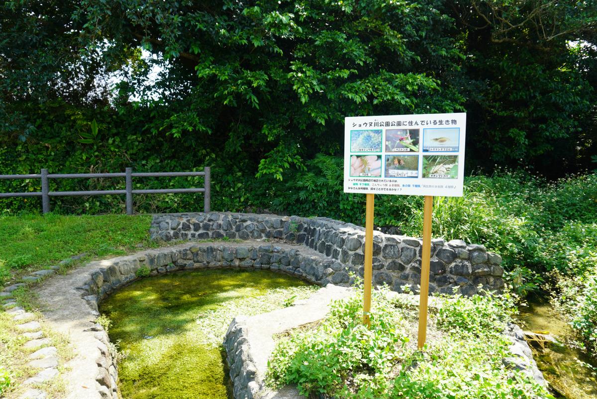 深い緑の木々に囲まれた自然豊かな公園で、石垣で縁取られた半円形の水辺と、水辺の生き物を紹介する看板が立っている写真