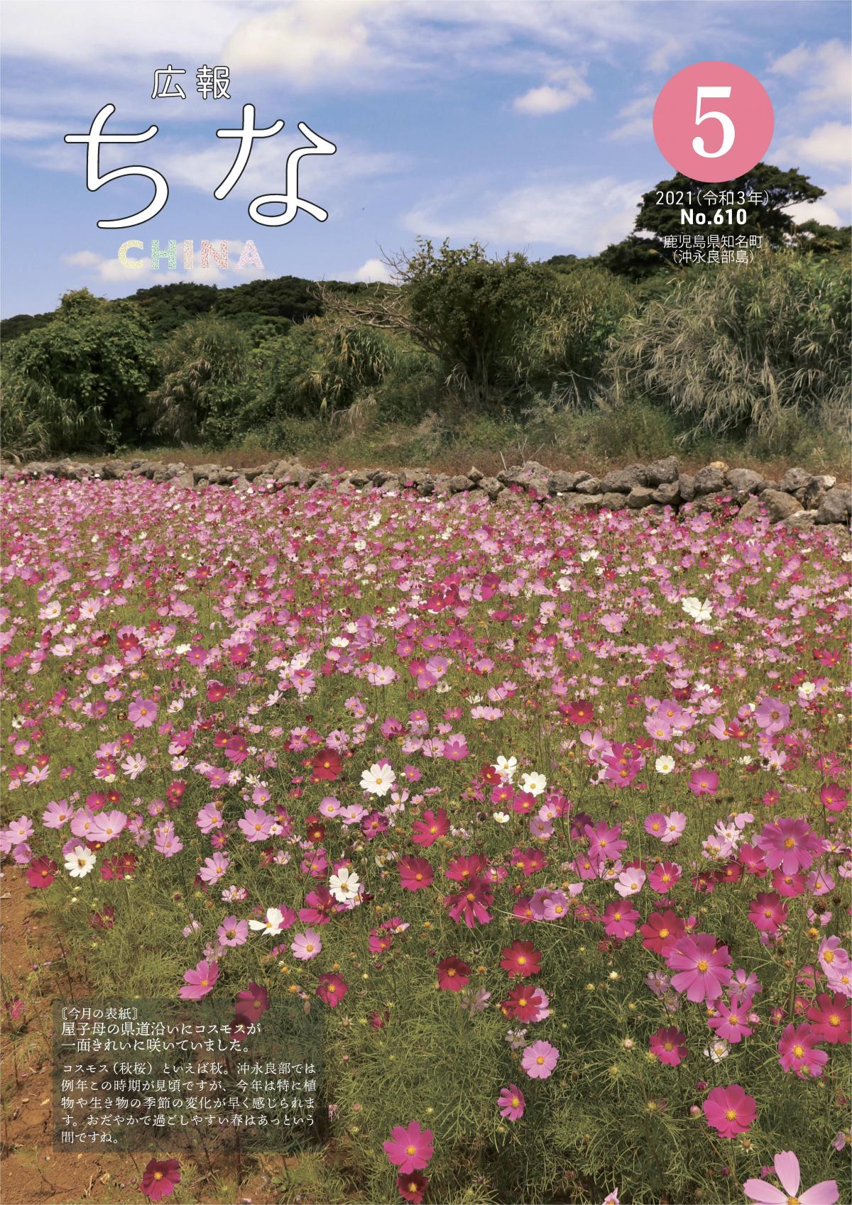 広報ちな2021年5月号の表紙
