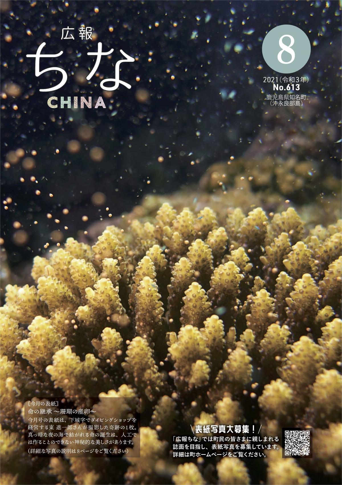 広報ちな2021年8月号の表紙