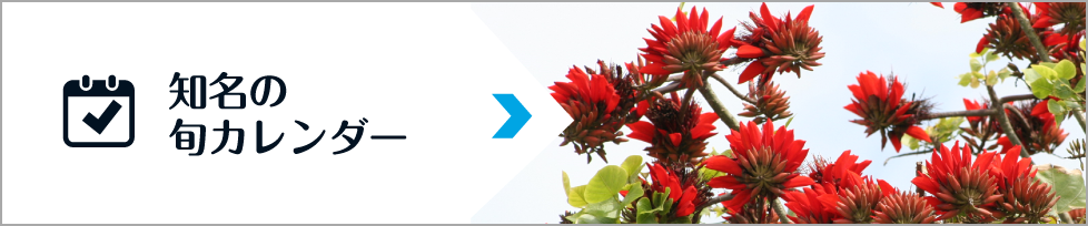 知名の旬カレンダー（知名の旬カレンダーのページへリンク）