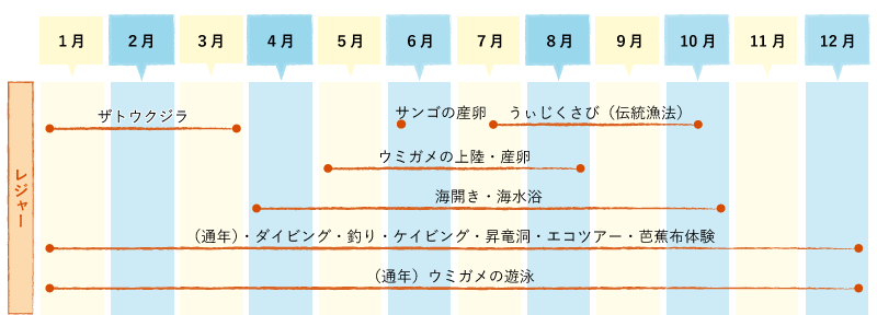 知名の旬カレンダーレジャーの説明図。クジラのウォッチングが1月から3月。海水浴は4月から10月。ダイビングやケイビング、芭蕉布体験等は通年楽しめます。