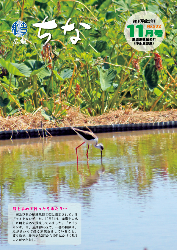 広報ちな 2014年11月号の表紙