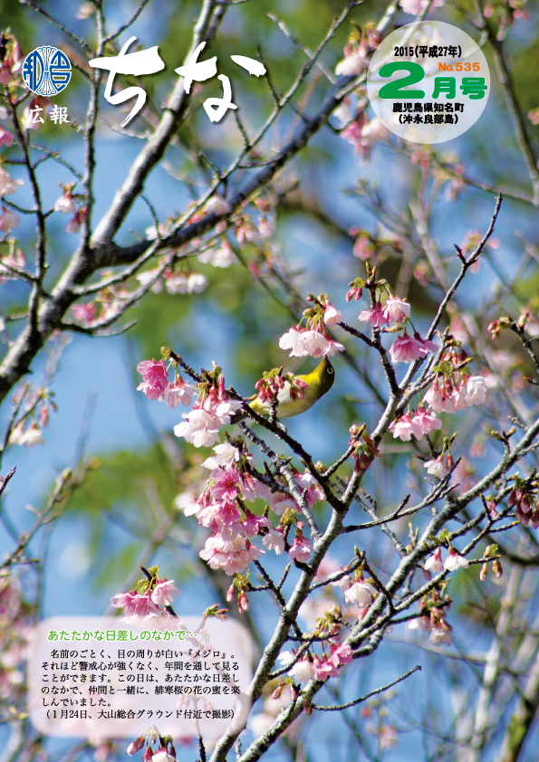 広報ちな2015年2月号表紙