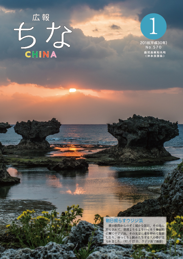 広報ちな 2018年1月号の表紙