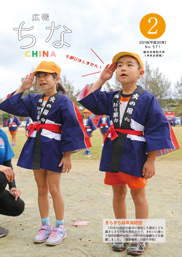 広報ちな 2018年2月号の表紙