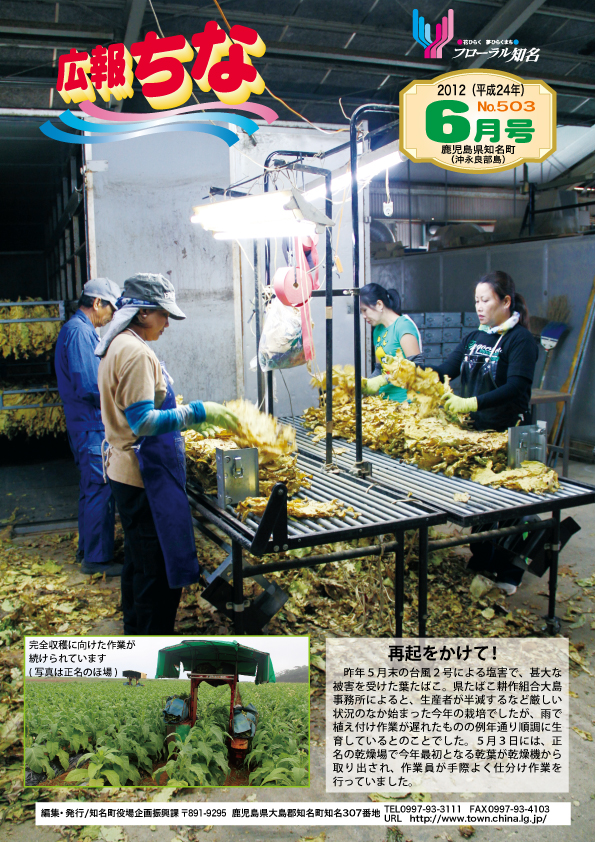 広報ちな2012年6月号表紙