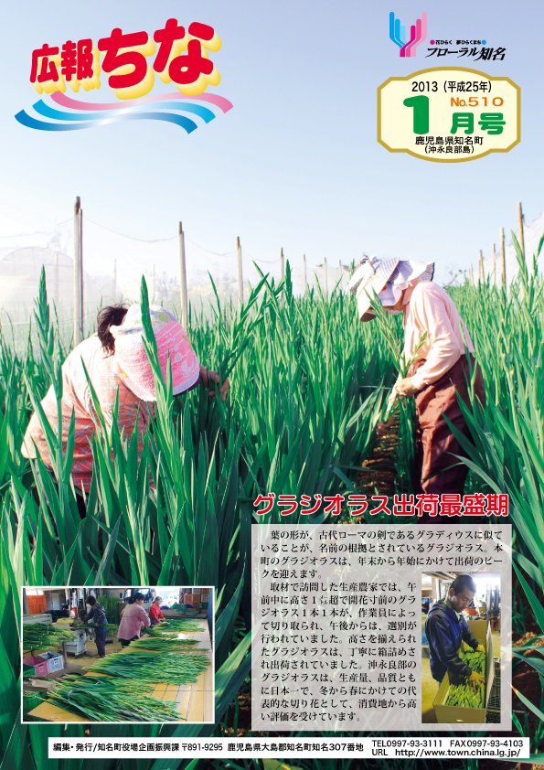 広報ちな2013年1月号表紙