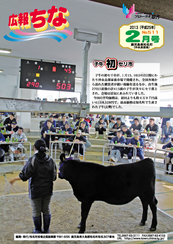 広報ちな 2013年2月号の表紙