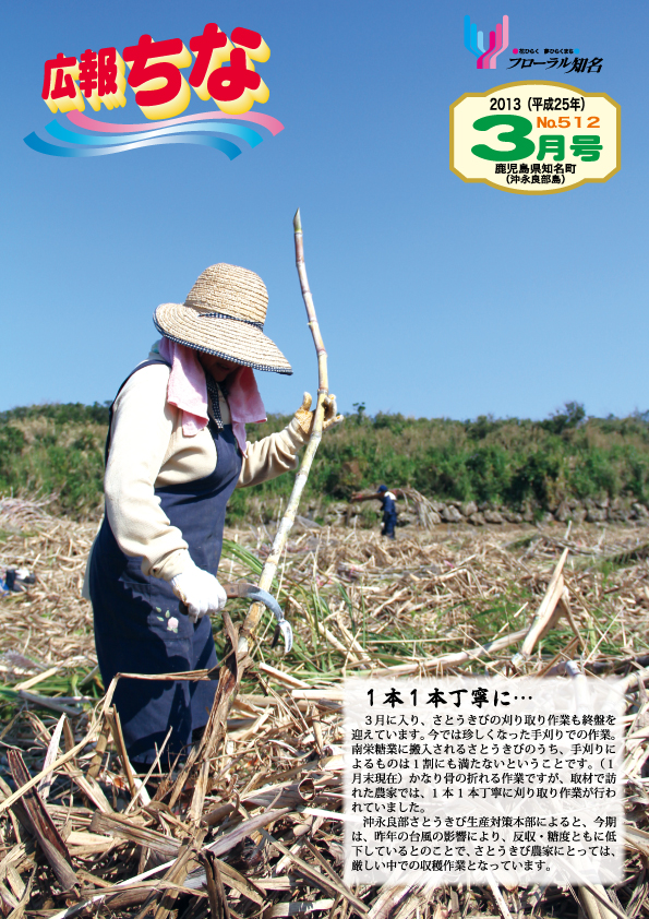 広報ちな 2013年3月号の表紙
