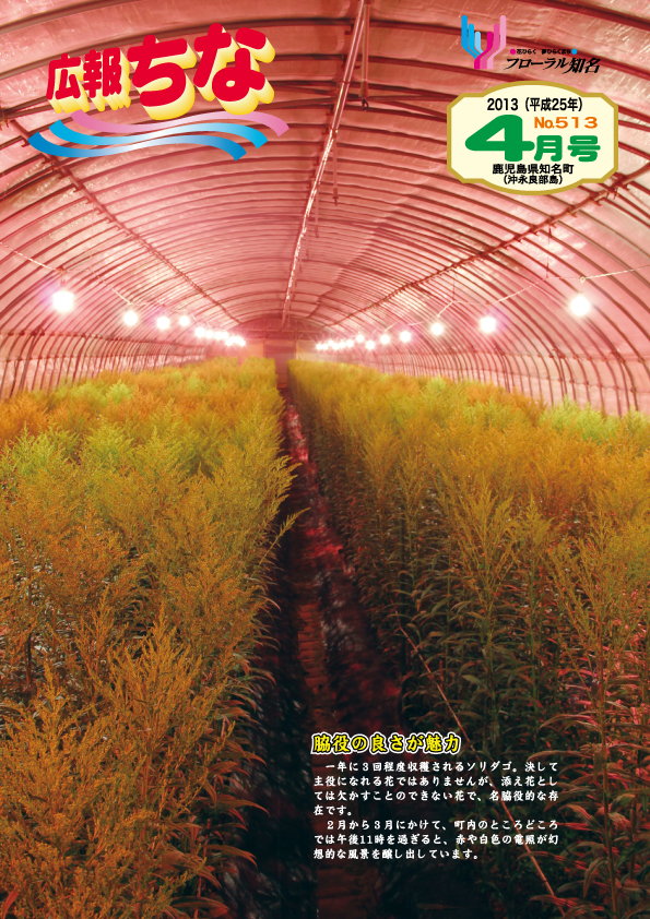 広報ちな2013年4月号表紙