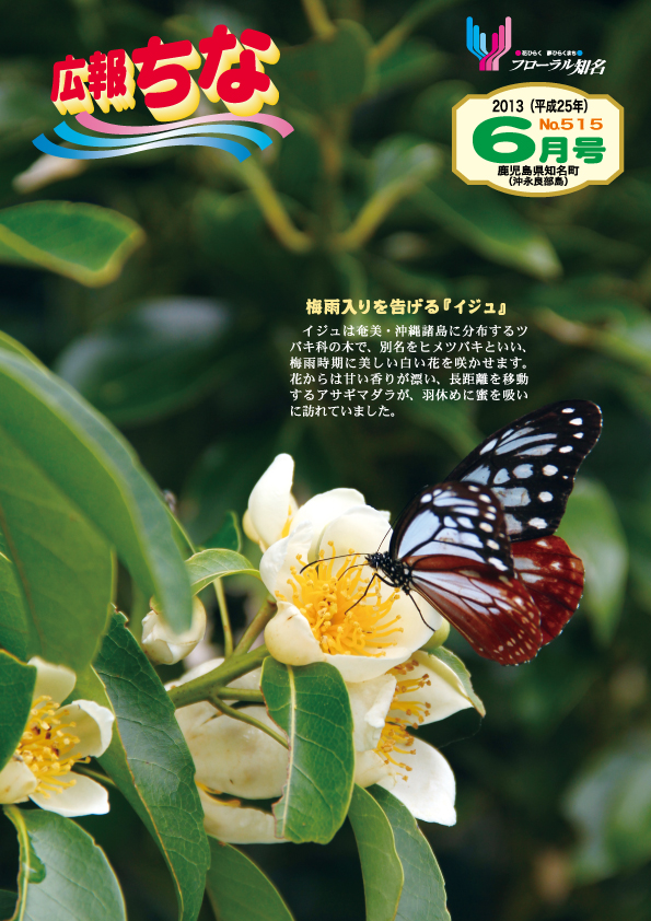 広報ちな2013年6月号表紙