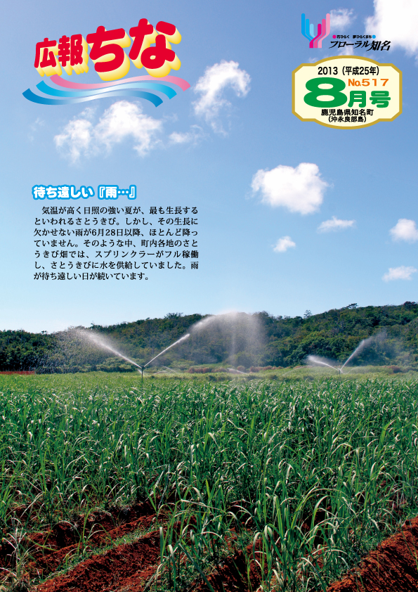 広報ちな2013年8月号表紙