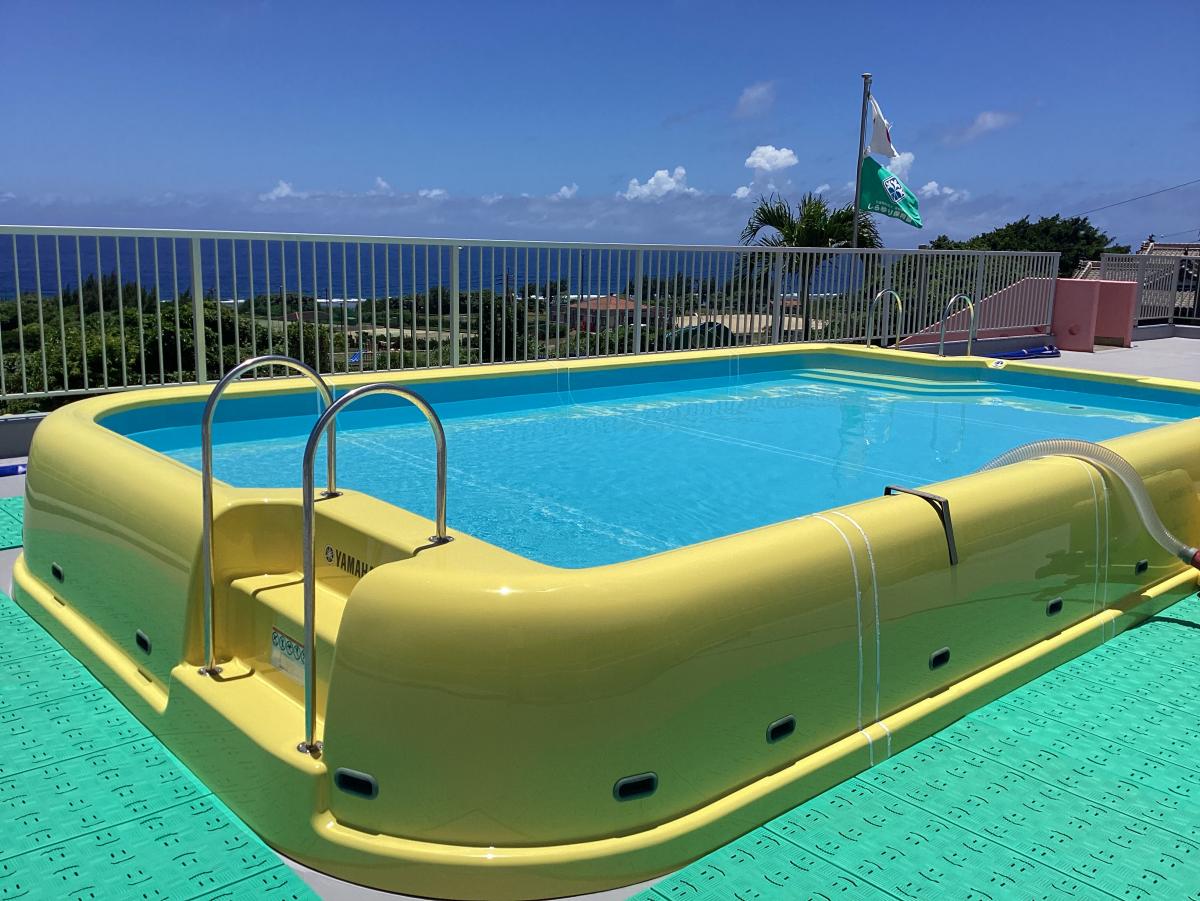 屋上には黄色い縁で囲まれ四隅が丸くデザインされた大型のプールがあり、澄んだ水がいっぱいに満ちている写真