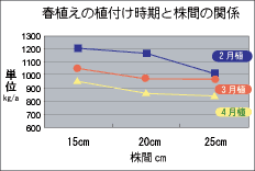 春植えの植付け時期と株間の関係